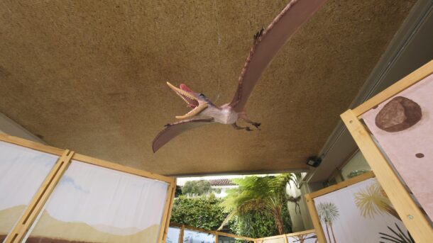 Museos_EcosDeGigantes02