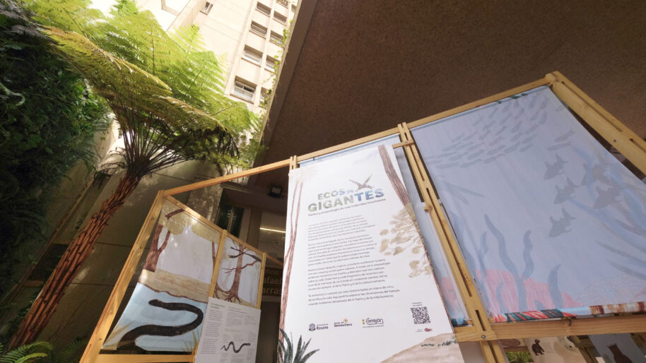 Museos_EcosDeGigantes12